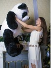 Плюшевый мишка "Панда" 150 см
