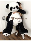 Плюшевый мишка "Панда" 200 см